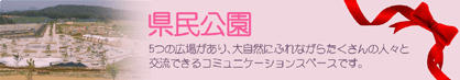 ���猧������