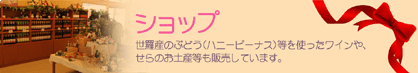 �V���b�v