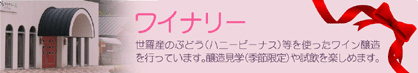 ���C�i���[