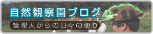 自然観察園ブログ