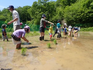 田んぼの学校田植え20220529③