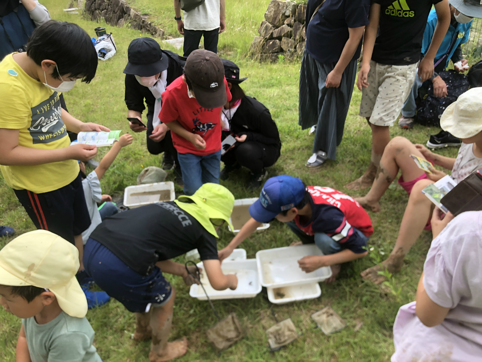 ↑田んぼの生き物調査