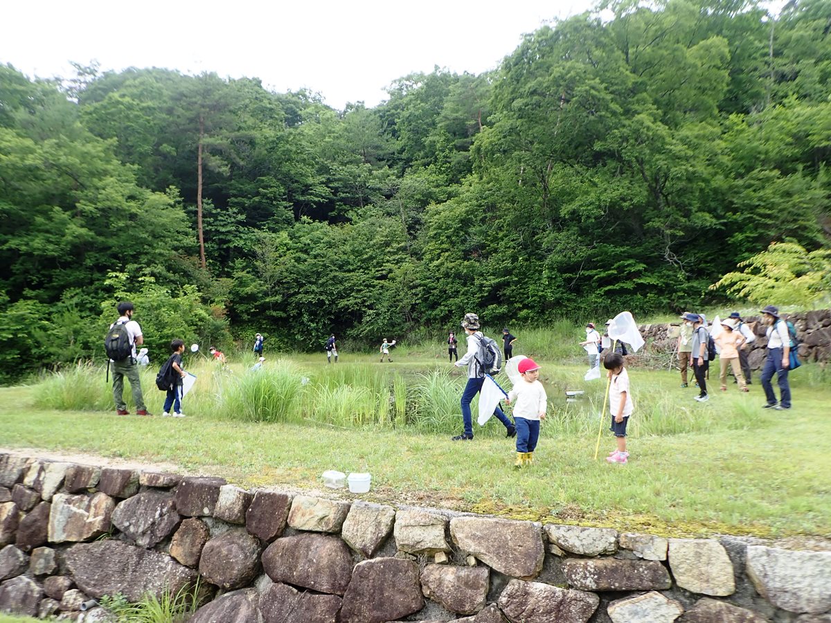 ↑トンボとりに興じる参加者の皆さん