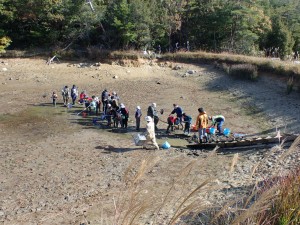 生きものの捕獲20221030