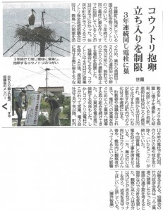 コウノトリ抱卵20250501中国新聞