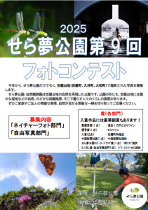 スクリーンショット 2025-06-13 160451