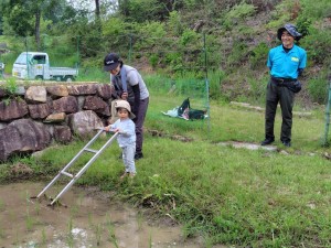 田んぼの学校田の草取り20250621②