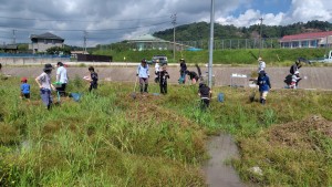 コウノトリビオトープ観察20250713③