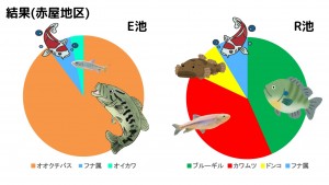 tameike13