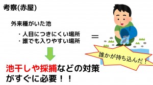 tameike15