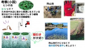 tameike16