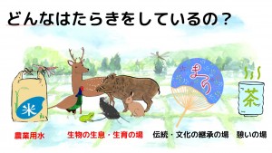 tameike5