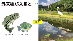 tameike7