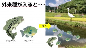 tameike8
