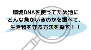 tameike9
