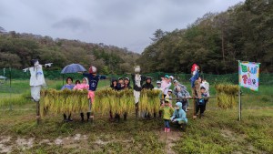 稲刈り