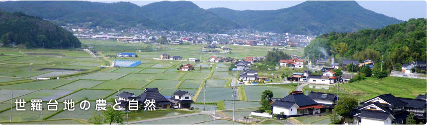 世羅台地の農と自然