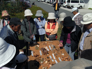 きのこ観察会